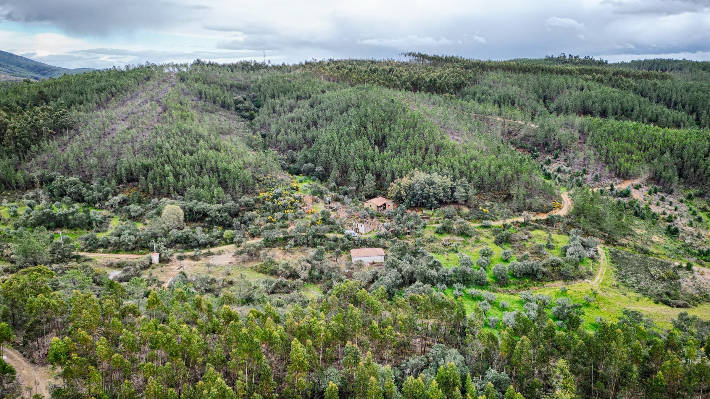 Colinas de floresta à volta do Myoho